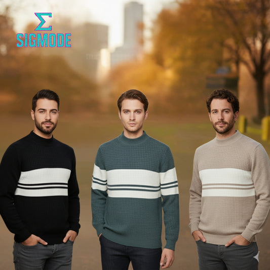 Premium Men's Sweater
